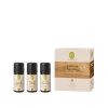 Bio Aroma Sauna Set „Harmonie & Erdung“ mit Waldgefühl, Wärmekick & Tiefenentspannung (je 10 ml)